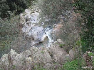 cantara gurne06-01-2014 19-25-55